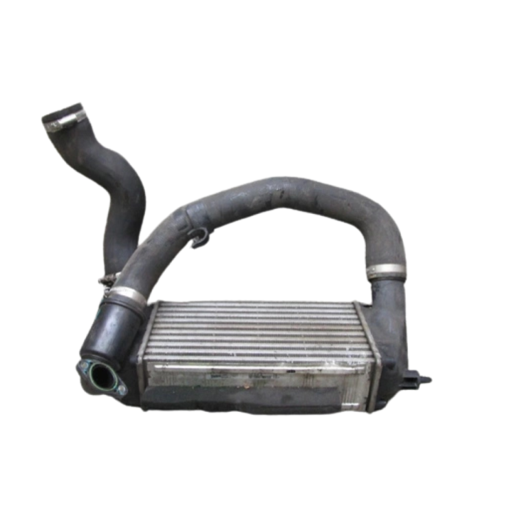 C1B19L440AD Ψυγείο Intercooler Ford Ecoboost