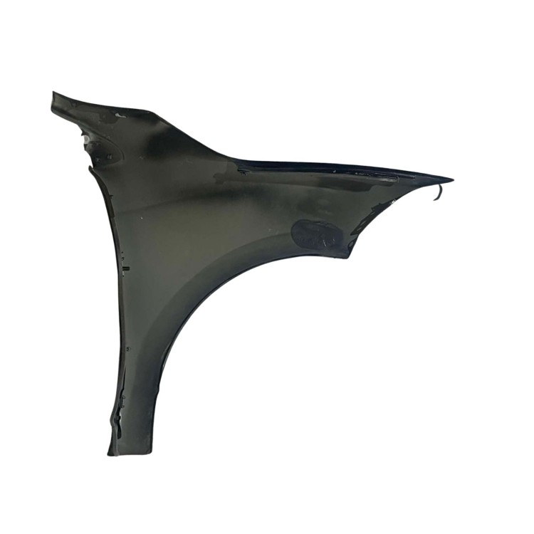 Εμπρός Αριστερό Φτερό Renault Megane S.W