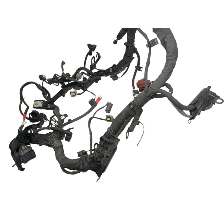 Καλωδίωση 1.0 ecoboost SFJN Ford Ecosport 2013-2017