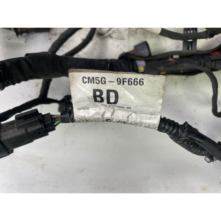 Καλωδίωση 1.0 ecoboost SFJN Ford Ecosport 2013-2017