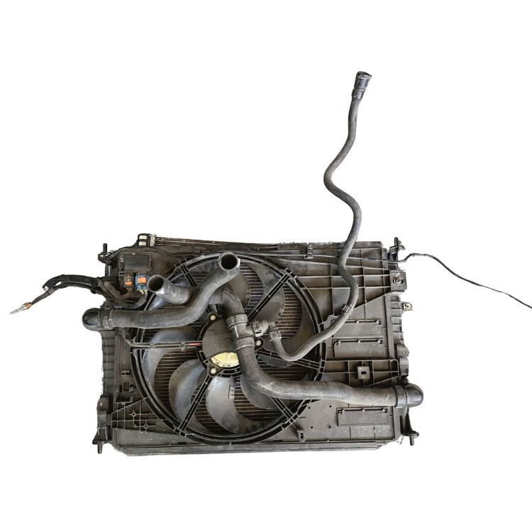 Citroen,Ds,Fiat,Opel,Peugeot 9816746580 Βεντιλατέρ/Ψυγείο